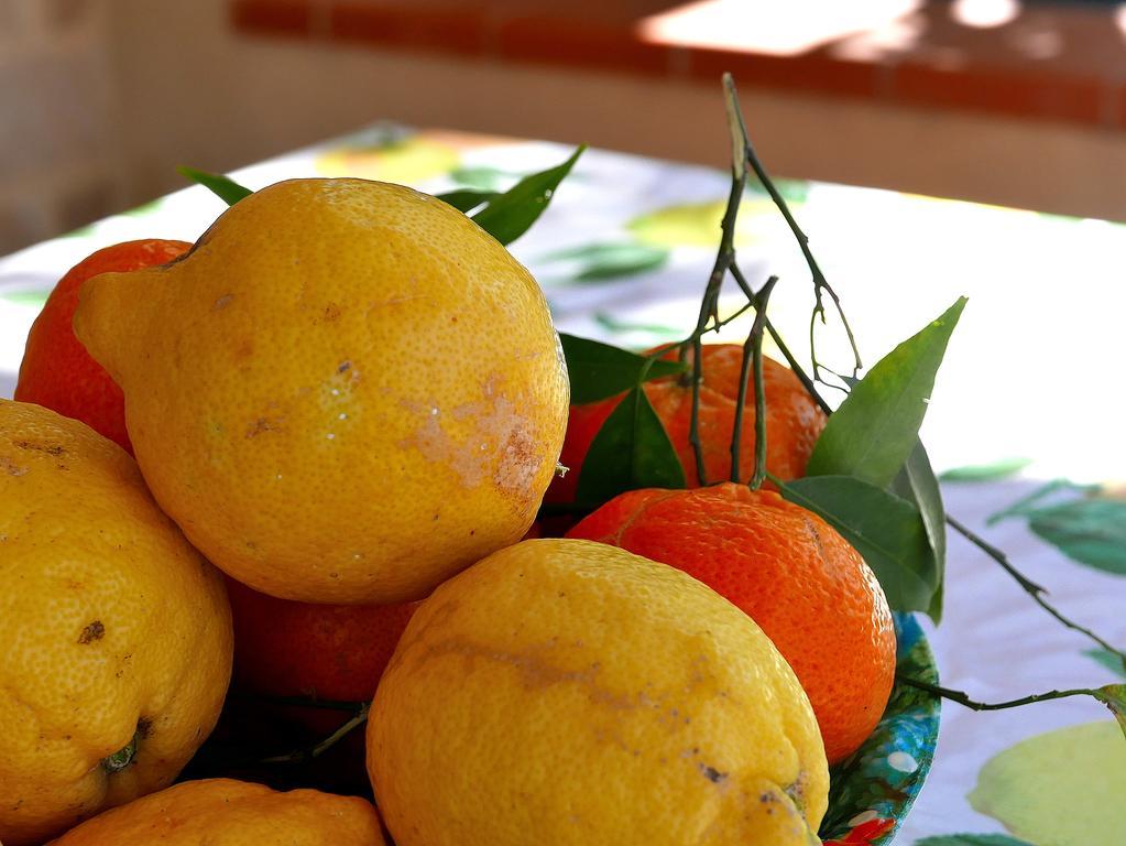 Sicily By Dreams Villa Campofelice Di Roccella Luaran gambar
